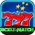 all cricket match Deluxe Pro v2.2.6