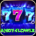 andy flower VIP v4.4.8
