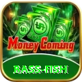 bass fish Master v4.9.9