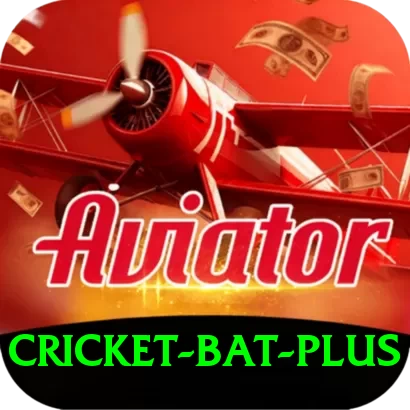 cricket bat Pakistan Ultimate v2.6.6 - 2