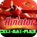 cricket bat Pakistan Ultimate v2.6.6
