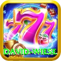 david wiese Pro v3.4.7