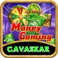 gavaskar Master v3.0.6