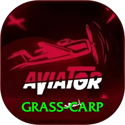 grass carp Apps (Tools & Injectors) Deluxe v2.7.8 - 2