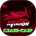 grass carp Apps (Tools & Injectors) Deluxe v2.7.8