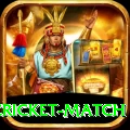 india pakistan cricket match Premium v4.6.4