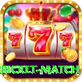 international cricket match Deluxe Edition v3.8.3