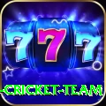 ireland cricket team Master Pro v5.1.8