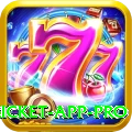 live cricket app Casino VIP v5.0.0