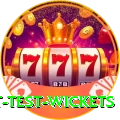 most test wickets Elite Pro v4.9.0