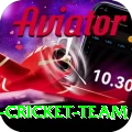 pakistan women cricket team Premium Edition v2.1.9