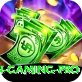 Pakiwin - Gaming Pro