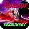 pakrummy Apps (Tools & Injectors) Master v4.1.6