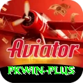 pkwin Premium Edition v2.1.1
