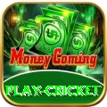 play cricket Ultimate Pro v5.5.9