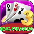 r789 - Gaming Premium