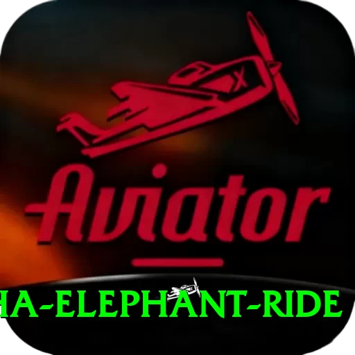 sauraha elephant ride Premium Plus v1.4.6 - 2