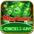 smart cricket live Deluxe Pro v3.4.3