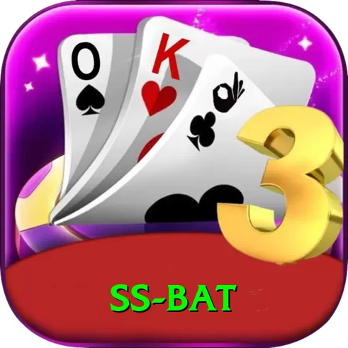 ss bat Pro v5.0.4 - 2
