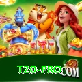 t20 Deluxe PK v4.6.4