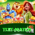 test match Pro Max v3.1.2