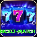 to day cricket match Master Pro v5.6.1