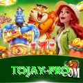 tojay Money Plus v2.0.8