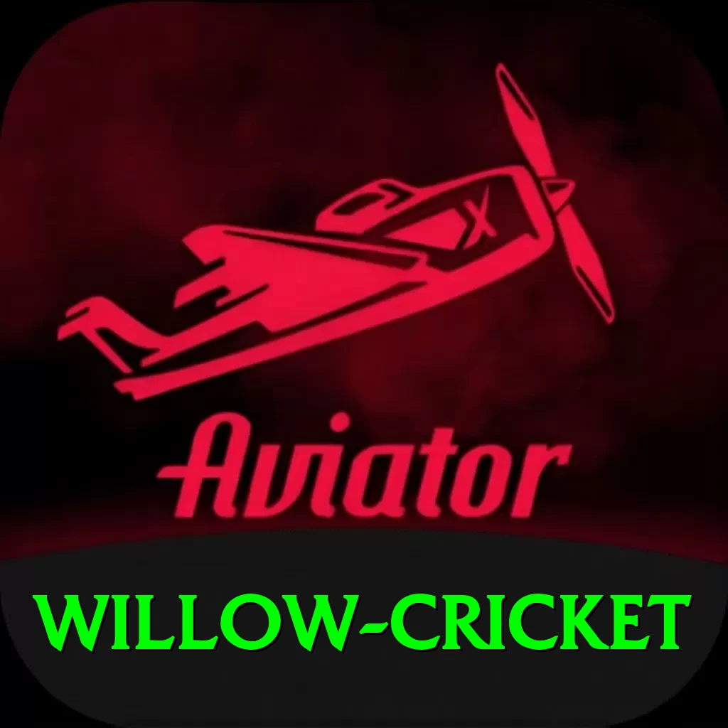 willow cricket Master Pro v5.9.5 - 2