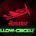 willow cricket Master Pro v5.9.5