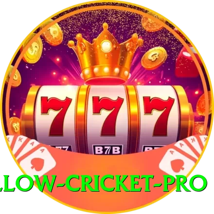 willow cricket Money King v3.4.4 - 2