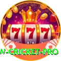 willow cricket Money King v3.4.4