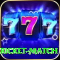 women cricket match VIP Edition v4.3.6